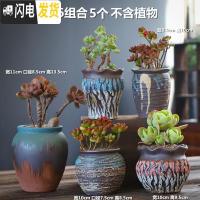 三维工匠多肉花盆组合套装创意个性粗陶透气肉肉植物老桩大小花盆 DL手造-16组合5个 中等花盆容器