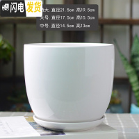 三维工匠白色简约花盆陶瓷大号特大号带托盘吊兰绿萝多肉花盆 梯形亮光白 中等花盆容器