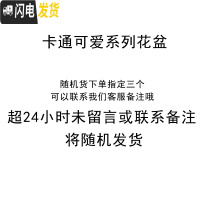 三维工匠卡通可爱萌多肉花盆小号植物白色陶瓷创意简约拇指盆 FP卡通带拖随机三个 小花盆容器