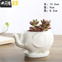 三维工匠卡通可爱萌多肉花盆小号植物白色陶瓷创意简约拇指盆 FP-12+托不含植物 小花盆容器