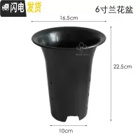 三维工匠兰花盆塑料园艺花盆优质墨兰绿兰盆透气加厚大号带孔专用镂空 6寸(5个装) 大花盆容器