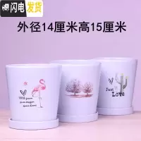 三维工匠白色欧式花盆陶瓷特大中三号绿植盆栽创意简约花盆带托盘 T-300蓝鸟树掌14厘米三个 中等花盆容器