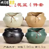 三维工匠可爱莓水果多肉盆陶瓷大盆大号创意个性pp拼盘生石花多肉花盆 楚楚花盆4件套 小花盆容器
