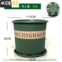 三维工匠新款二代加厚塑料矮胖加仑花盆绿萝月季多肉大口径加仑盆 1.5加仑中[盆+托2个装]买6送1 大花盆容器