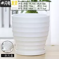 三维工匠欧式花盆陶瓷白色创意个性特大号带托盘家用吊兰带托盘绿萝 70002白(高款)(一体托盘) 特大花盆容器