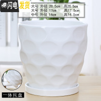 三维工匠欧式花盆陶瓷白色创意个性特大号带托盘家用吊兰带托盘绿萝 70003白(高款)(一体托盘) 大花盆容器