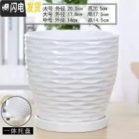 三维工匠欧式花盆陶瓷白色创意个性特大号带托盘家用吊兰带托盘绿萝 70006白(高款)(一体托盘) 中等花盆容器