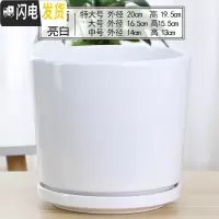 三维工匠欧式花盆陶瓷白色创意个性特大号带托盘家用吊兰带托盘绿萝 93006白 中等花盆容器