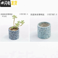 三维工匠创意个性中大小号口径北欧风蓝色家用可爱多肉花盆陶瓷器 海星珊瑚盆2个 中等花盆容器