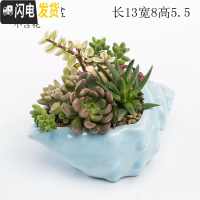 三维工匠创意个性中大小号口径北欧风蓝色家用可爱多肉花盆陶瓷器 浅蓝螺盆 中等花盆容器