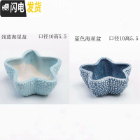 三维工匠创意个性中大小号口径北欧风蓝色家用可爱多肉花盆陶瓷器 大号海星盆2个 中等花盆容器