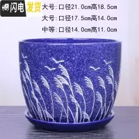 三维工匠苹果型花盆陶瓷大号绿植绿萝花盆创意个性室内阳台兰花盆 303兰芦苇 特大花盆容器