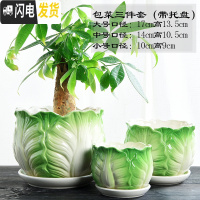 三维工匠花盆陶瓷大号特大号肉肉个性家用创意绿萝多肉花盆 包菜三件套 大花盆容器