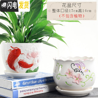 三维工匠花盆陶瓷大号特大号肉肉个性家用创意绿萝多肉花盆 大号两个组合-009 大花盆容器