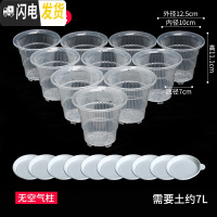 三维工匠蝴蝶兰控根花盆透气明塑料胶树脂陶瓷洋兰石斛专用盆 [含托盘][10只]口径10cm无空气柱 中等花盆容器