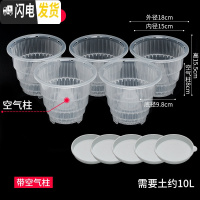 三维工匠蝴蝶兰控根花盆透气明塑料胶树脂陶瓷洋兰石斛专用盆 [含托盘][5只]口径15cm[带空气柱] 中等花盆容器