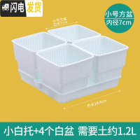 三维工匠多肉花盆带托盘肉肉套装组合透气塑料控根控型盆器 小白托+4个白盆(7cm盆) 小花盆容器