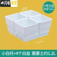 三维工匠多肉花盆带托盘肉肉套装组合透气塑料控根控型盆器 小白托+4个白盆(7cm盆) 小花盆容器