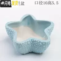 三维工匠多肉花盆器创意个性中大号口径肉肉植物小号拇指花盆陶瓷 浅蓝大号海星盆 中等花盆容器