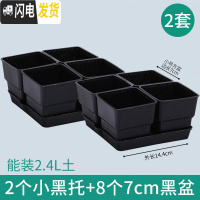 三维工匠多肉花盆带托盘肉肉套装组合透气塑料控根控型盆器 [2套][0.9元]小黑托+4个黑盆(7cm盆) 小花盆容器