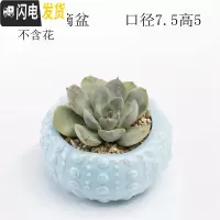 三维工匠多肉花盆器创意个性中大号口径肉肉植物小号拇指花盆陶瓷 浅蓝水滴盆 中等花盆容器
