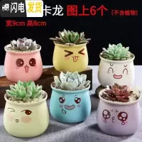 三维工匠多肉花盆陶瓷粗陶透气家用肉肉植物创意大口径创意小花盆 可爱MKL大号组合6个 小花盆容器