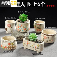 三维工匠多肉花盆陶瓷粗陶透气家用肉肉植物创意大口径创意小花盆 靓丽佳人组合6个 小花盆容器