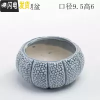 三维工匠多肉花盆器创意个性中大号口径肉肉植物小号拇指花盆陶瓷 蓝色珊瑚盆 中等花盆容器