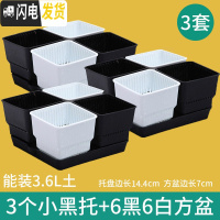 三维工匠多肉花盆带托盘肉肉套装组合透气塑料控根控型盆器特 [3套][2.8元]小黑托+2黑2白盆(7cm盆) 小花盆容器
