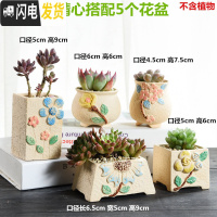 三维工匠多肉花盆陶瓷粗陶透气家用肉肉植物创意大口径创意小花盆 精心搭配5个盆 小花盆容器