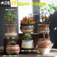 三维工匠多肉花盆陶瓷粗陶透气家用肉肉植物创意大口径创意小花盆 喷点HS陶盆组合6个 小花盆容器