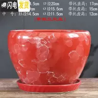 三维工匠花盆陶瓷大号特大带托盘绿萝创意家用吊兰个性多肉小花盆 S1CZ-红大理石纹单个 特大花盆容器