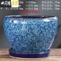 三维工匠花盆陶瓷大号大口径蝴蝶兰带托盘中国风绿萝家用多肉花盆 S1CZ-孔雀蓝-单个 大花盆容器