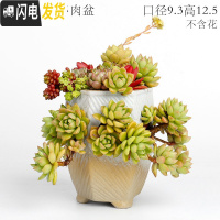 三维工匠复古创意个性多肉悬崖老桩高花盆缺口造型控型盆陶瓷绿植老庄花器 三孔浅蓝多肉盆 中等花盆容器