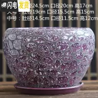 三维工匠花盆陶瓷大号大口径蝴蝶兰带托盘中国风绿萝家用多肉花盆 S1CZ-水晶紫-1单个 中等花盆容器