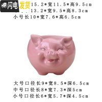 三维工匠简约卡通多肉花盆陶瓷创意个性可爱小猪客厅植物白色花盆绿萝花器 有孔土养手绘粉色小猪花盆 小花盆容器