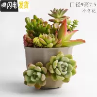 三维工匠复古创意个性多肉悬崖老桩高花盆缺口造型控型盆陶瓷绿植老庄花器 灰色多口盆 中等花盆容器