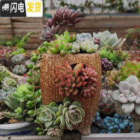 三维工匠复古创意个性多肉悬崖老桩高花盆缺口造型控型盆陶瓷绿植老庄花器 口径7.5高12不含花 中等花盆容器