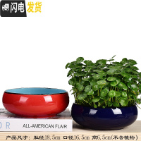 三维工匠水仙花盆铜钱睡莲碗莲荷花多肉水培花盆容器无孔陶瓷特大号 古兰花盆2件套(无孔水培) 中等