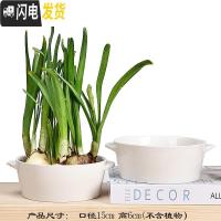 三维工匠水仙花盆铜钱睡莲碗莲荷花多肉水培花盆容器无孔陶瓷特大号 送福花盆2件套(无孔水培) 中等