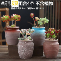 三维工匠多肉花盆大号老桩创意个性大口径粗陶透气陶瓷肉肉植物盆 陶小罐组合4个(体验价) 大花盆容器