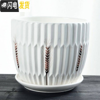 三维工匠大号特大号花盆陶瓷带托盘绿萝吊兰绿植简约家用多肉花盆 麦子90126特大单个 20-22cm花盆容器
