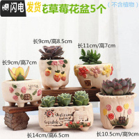 三维工匠多肉花盆陶瓷大口径室内透气粗陶肉肉植物批发小花盆 花花草莓5个 小花盆容器