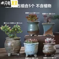 三维工匠多肉花盆大号老桩创意个性大口径粗陶透气陶瓷肉肉植物盆 还原复古组合5个 大花盆容器