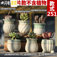 三维工匠多肉花盆陶瓷粗陶透气大口径大号盆栽创意小盆栽 款251控根盆套装(6个) 中小花盆容器