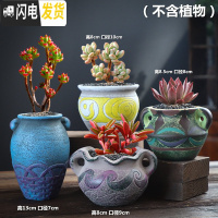 三维工匠多肉花盆大号老桩创意个性大口径粗陶透气陶瓷肉肉植物盆 地中海01组合4个 大花盆容器