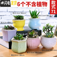 三维工匠多肉花盆陶瓷粗陶透气大口径大号盆栽创意小盆栽 款71套装71(6个) 中小花盆容器