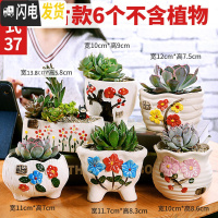 三维工匠多肉花盆陶瓷粗陶透气大口径大号盆栽创意小盆栽 款37套装037(6个) 中小花盆容器