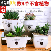 三维工匠多肉花盆陶瓷粗陶透气大口径大号盆栽创意小盆栽 款42套装042(4个) 中小花盆容器