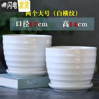 三维工匠花盆陶瓷家用大号带托盘简约塑料绿萝肉肉吊兰多肉小花盆 两个大号(白横纹) 大花盆容器